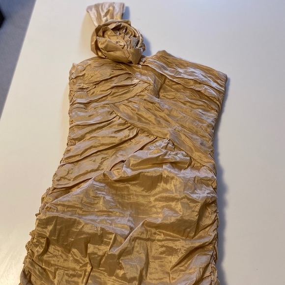 BNWT BCBGMAXAZRIA Dress - Picture 2 of 9